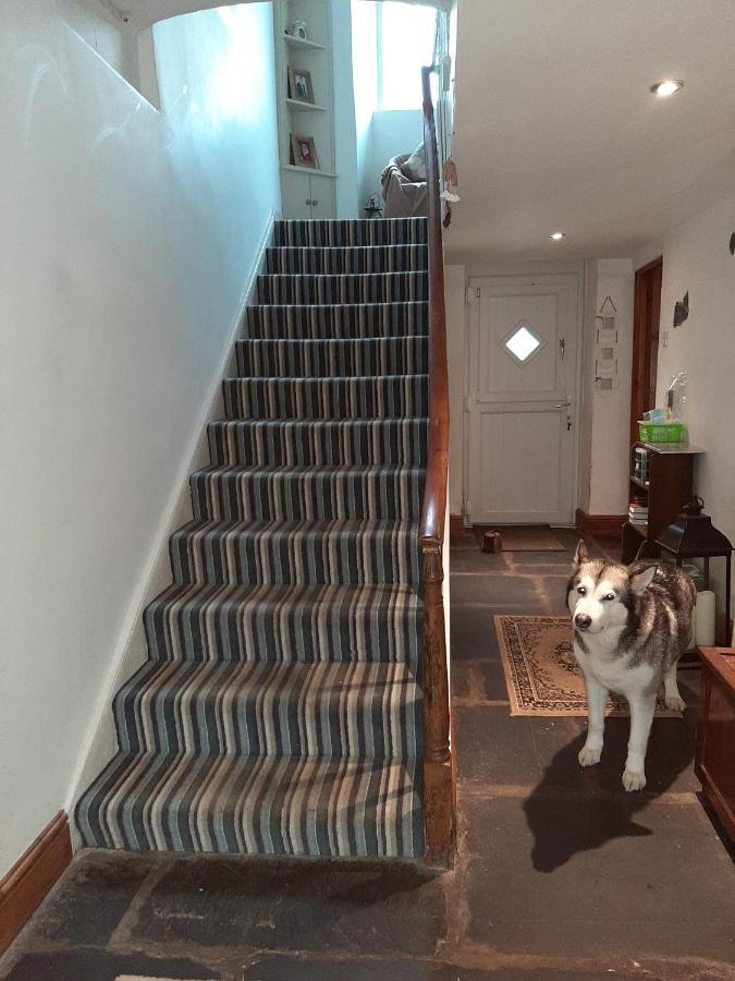 Saltcotes Farm Bed & Breakfast Ulverston Bagian luar foto